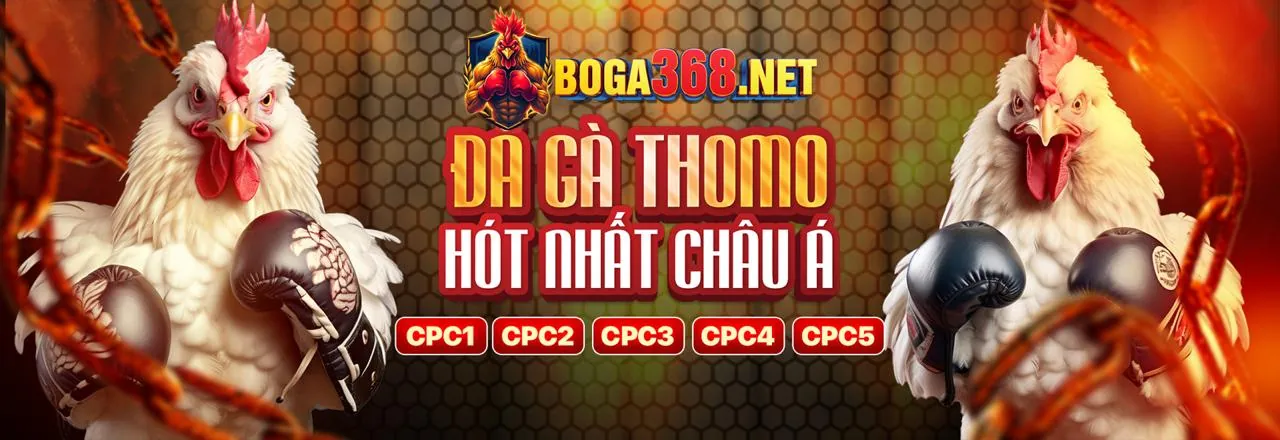 Đá Gà FF168 Khuyến Mãi – Sân đấu gà trực tuyến sôi động